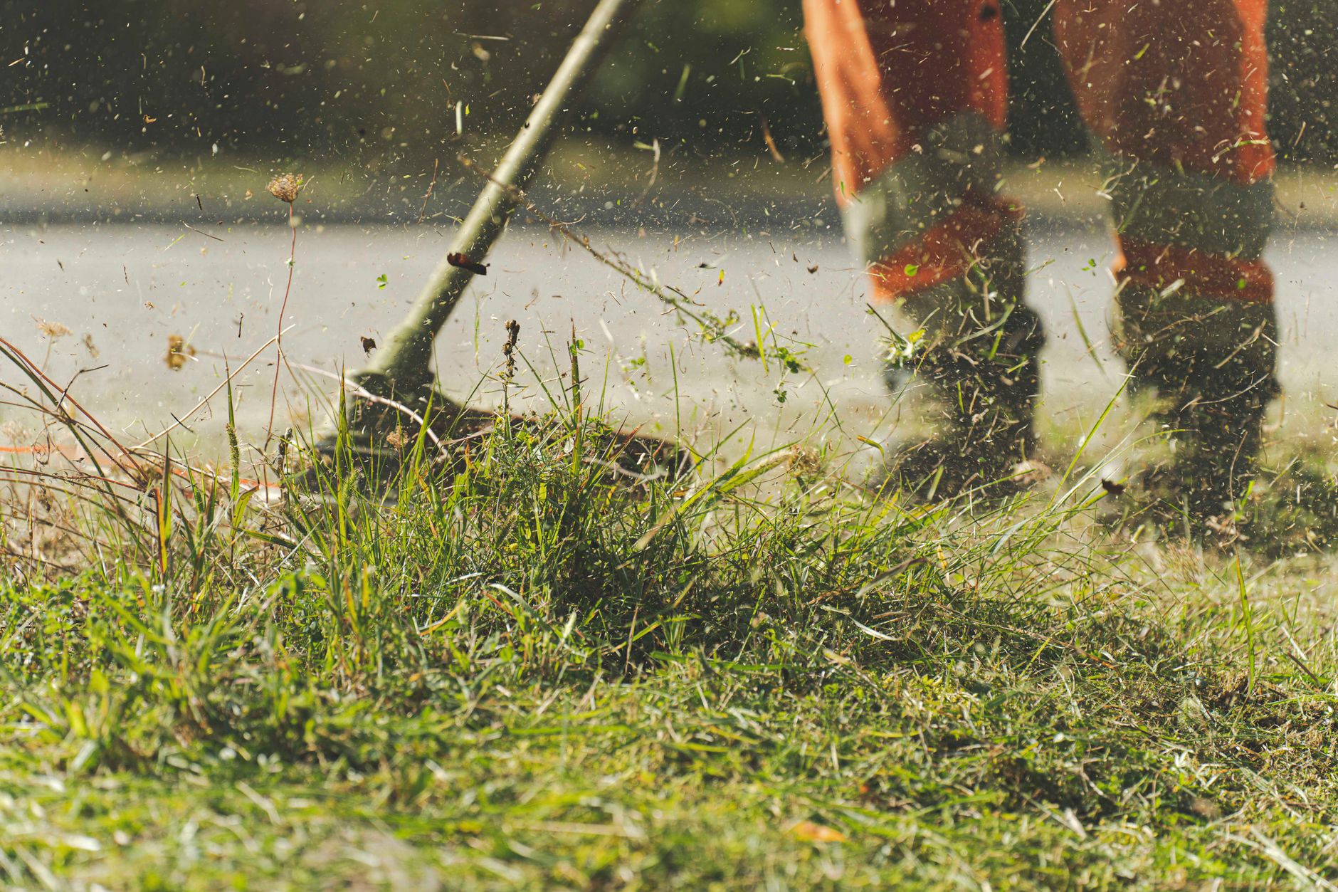 Weekly Mowing – Converse