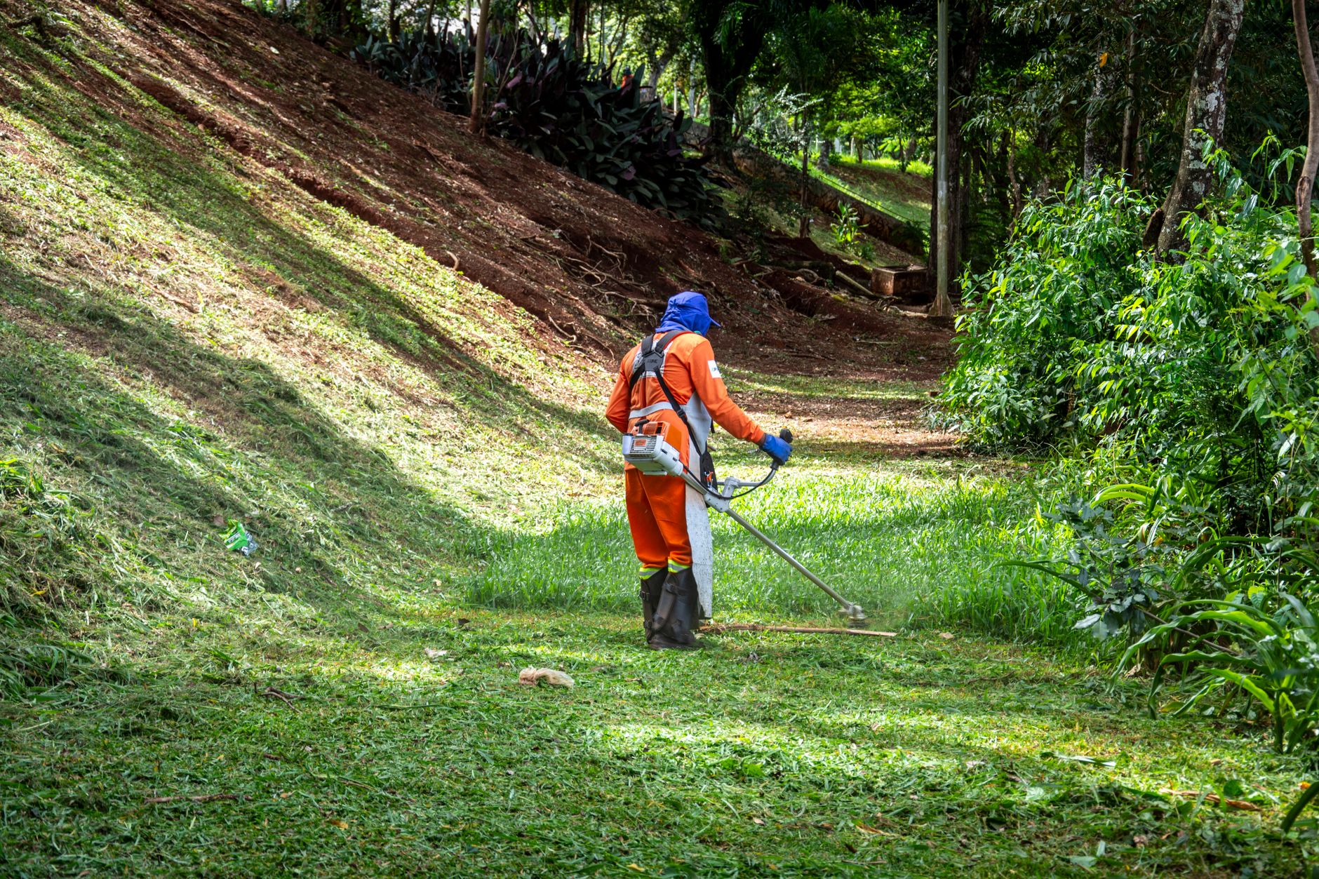 Seasonal Clean-Up – Converse